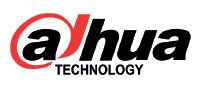 Dahua Technology